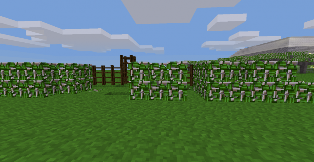 Hecke in Minetest