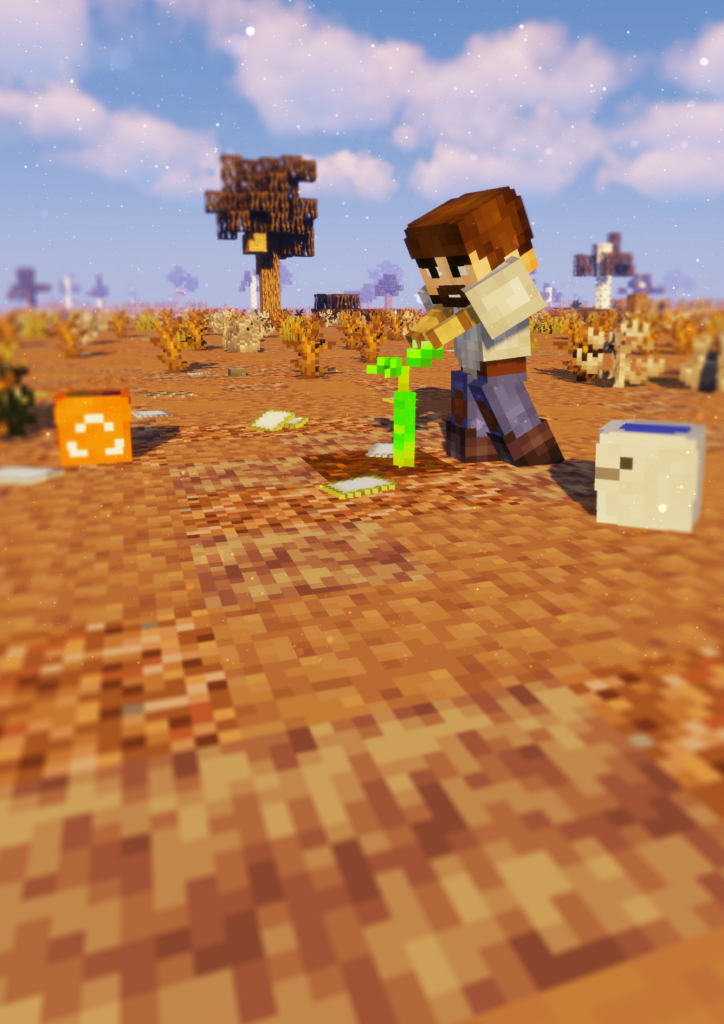 Bild: Mensch pflanzt etwas Grünes in eine Wüste in Minecraft