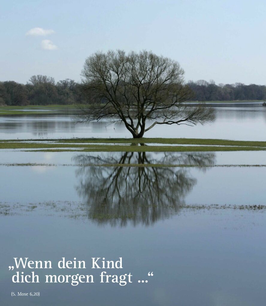 Baum, der sich in den überfluteten Elbwiesen spiegelt mit Text: "Wenn dein Kind dich morgen fragt ..."