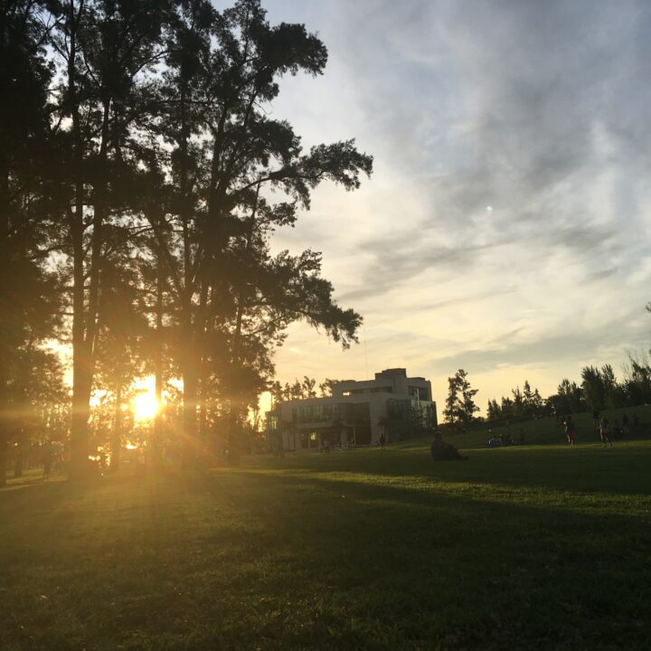 Sonne hinter Bäumen in Los Polvorines, Buenos Aires, Argentinien