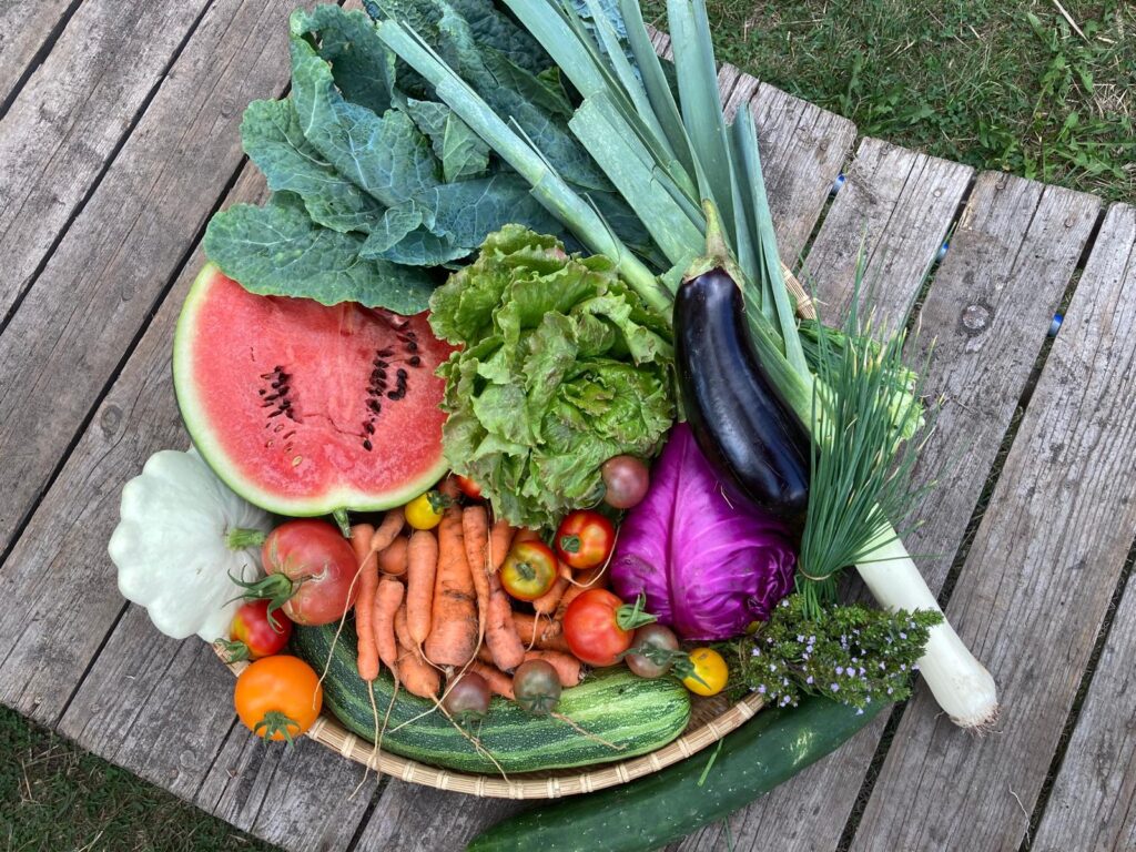 Verschiedene Obst- und Gemüsesorten, Wassermelone, Karotte, usw.