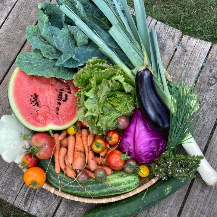 Verschiedene Obst- und Gemüsesorten, Wassermelone, Karotte, usw.