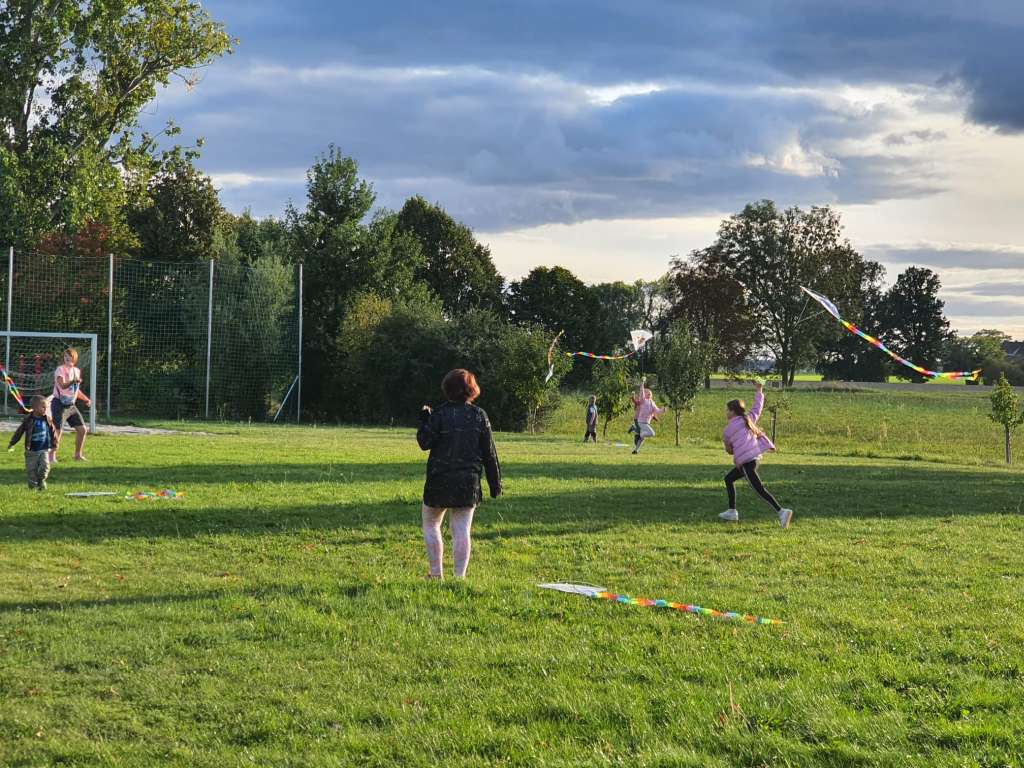 Man sieht sieben Kinder auf einer Wiese an einem windigen, aber sonnigen Tag. Sie lassen ihre Drachen steigen.